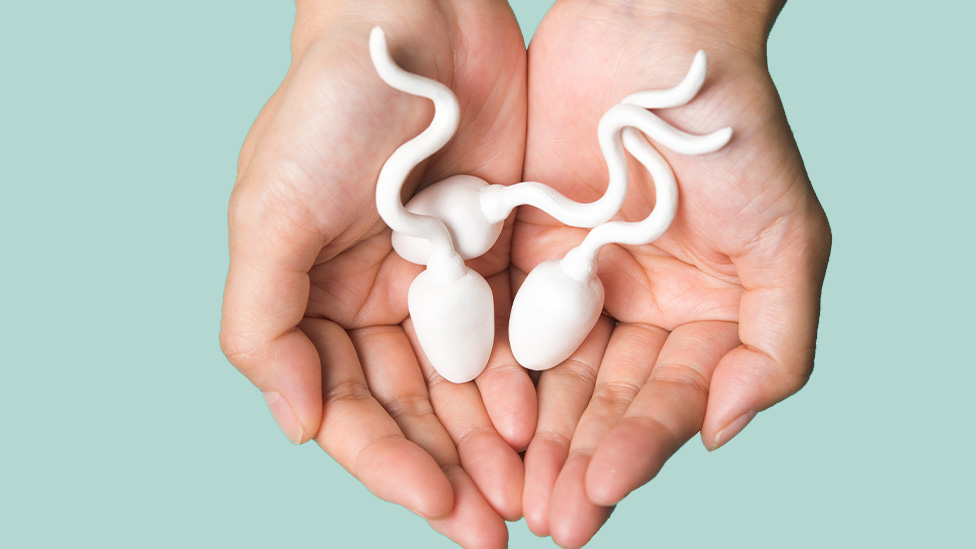 Hånd holder figurer av sædceller