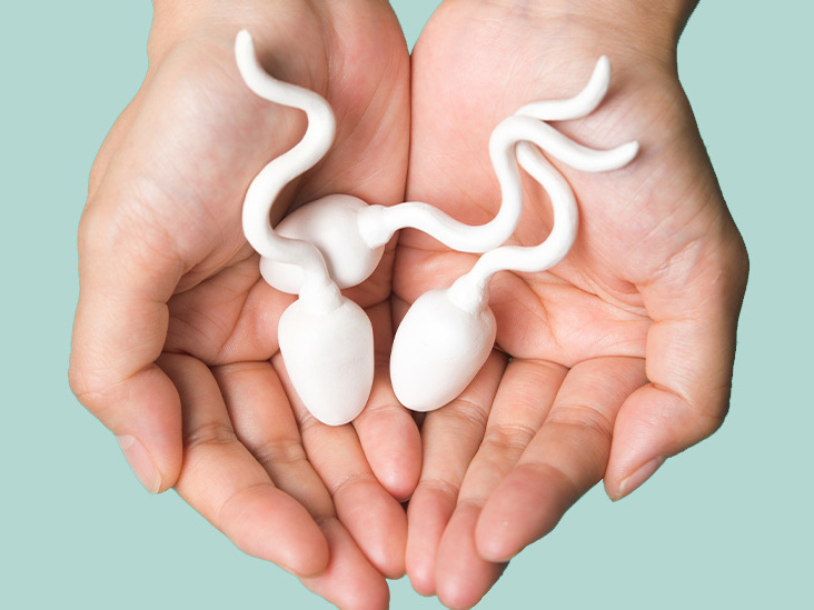 Hånd holder figurer av sædceller