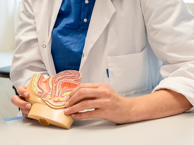 Kvinne holder en figur av underlivet